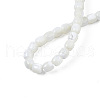 Natural Trochid Shell/Trochus Shell Beads Strands X-SSHEL-N034-121-B01-4