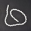 Natural Trochid Shell/Trochus Shell Beads Strands SSHEL-N032-25A-3