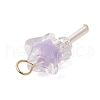 5Pcs Acrylic & Glass Pendants PALLOY-JF03526-01-4