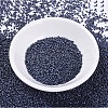 MIYUKI Delica Beads SEED-J020-DB0301-2
