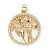 Brass Micro Pave Colorful Cubic Zirconia Pendants ZIRC-E165-05G-1