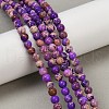 Dyed Natural Regalite/Imperial Jasper/Sea Sediment Jasper Beads Strands G-B124-C04-09-5