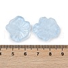 Transparent Glass Beads DGLA-E004-02B-3