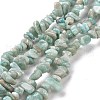 Natural Amazonite Chip Beads Strands G-M205-64-1-1