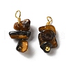 Natural Tiger Eye Pendants KK-P242-31G-05-1