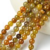 Dyed Natural Dragon Veins Agate Beads Strands G-C068-10mm-15-3