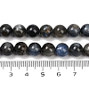 Natural Kyanite Beads Strands G-NH0046-C03-8mm-5
