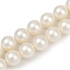 Shell Pearl Beads Strands BSHE-XCP0001-47-2