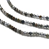 Natural Apatite Beads Strands G-RM2025-A23-2mm-4