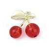 Alloy & Acrylic Pendants PALLOY-S053-01LG-A-1