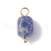 Natural Mixed Gemstone Cuboid Connector Charms PALLOY-JF02788-01-3