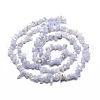 Natural Blue Lace Agate Chips Beads Strands G-M205-50-2