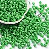 Baking Paint Glass Seed Beads X1-SEED-A032-02B-1
