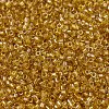 MIYUKI Delica Beads SEED-X0054-DB2372-2