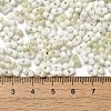 Baking Paint Glass Seed Beads SEED-F005-01A-10-4