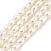 Natural Cultured Freshwater Pearl Beads Strands PEAR-P062-22-2