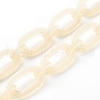 Handmade Acrylic Cable Chains AJEW-JB00956-02-1