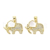 Brass Micro Pave Clear Cubic Zirconia Pendants KK-K365-12B-G-1