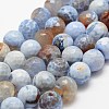 Faceted Natural Fire Crackle Agate Beads Strands X-G-F447-12mm-B15-1