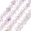 Natural Amethyst Beads Strands G-Z080-A24-8mm-2