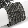 Natural Labradorite Beads Strands G-L622-C03-4mm-2