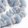 Natural Ang Chips Beads Strands X-G-D0002-A10-3