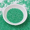 MIYUKI Delica Beads SEED-J020-DB0691-2
