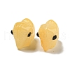 Handmade Transparent Glass Beads GLAA-N0028-01F-1
