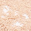TOHO Japanese Seed Beads SEED-F002-2mm-763-2