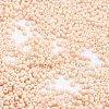 TOHO Japanese Seed Beads SEED-F002-2mm-763-2