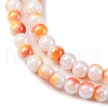 Pearlized Handmade Lampwork Beads Strands LAMP-R020-04-4