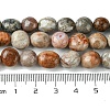 Natural Fossil Coral Beads Strands G-G117-A01-02-5