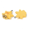 Resin Pendants RESI-U004-01D-2