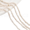 Natural Cultured Freshwater Pearl Beads Strands PEAR-C003-03-1