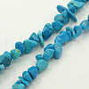 Natural Magnesite Chips Beads Strands F029-1