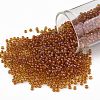 TOHO Round Seed Beads X-SEED-TR11-0303-1