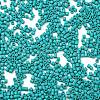Baking Paint Glass Seed Beads SEED-S042-05B-57-3