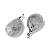 Natural Labradorite Pendants G-D084-01P-B22-3