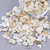 Freshwater Shell Beads X-SHEL-S266-11-3