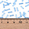 Glass Bugle Beads SEED-N007-28E-4
