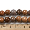 Natural Petrified Wood Round Bead Strands G-F266-08-12mm-6