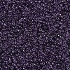 MIYUKI Round Rocailles Beads SEED-X0054-RR0157-3