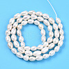 Natural Cultured Freshwater Pearl Beads Strands PEAR-N012-04T-01-3