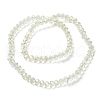 Electroplate Transparent Glass Beads Strands EGLA-A034-T1mm-T16-3