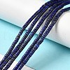Natural Lapis Lazuli Dyed Beads Strands G-E612-A06-4