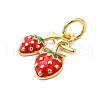 Brass Enamel Charms KK-P303-06C-G-2