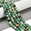 Natural Green Line Jasper  Beads Strands G-B128-A03-02-2