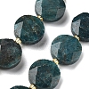 Natural Apatite Beads Strands G-C116-A159-03-2