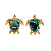 304 Stainless Steel Natural Paua Shell Stud Earrings EJEW-Z103-05G-01-4
