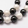 Polished Shell Pearl Bead Strands BSHE-F013-07C-3